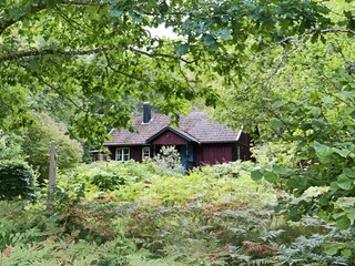 Vakantiehuis Älvsered Buitenaudio-opname 3