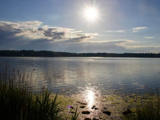 Ferienhaus Nysted  4