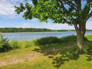 Holiday house Nysted  8