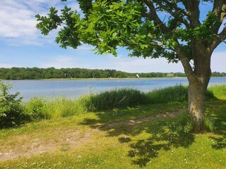 Maison de vacances Nysted  8