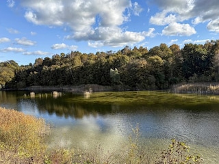 Ferienhaus Køge  21