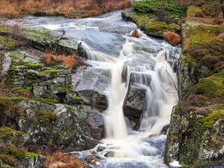 Ferienhaus Lyngdal  6