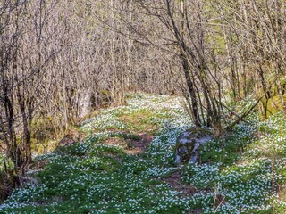 Vakantiehuis Lyngdal  3