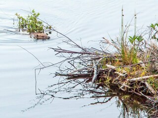 Ferienhaus Lyngdal  10