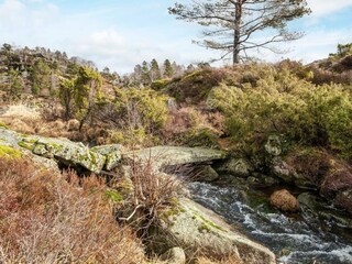 Vakantiehuis Lyngdal  4