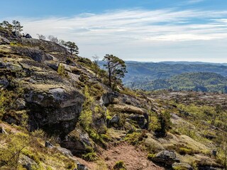 Vakantiehuis Lyngdal  6