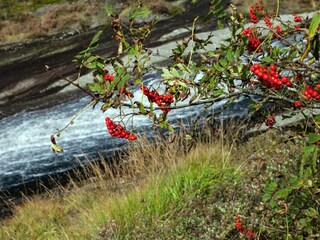 Holiday house Lyngdal  28