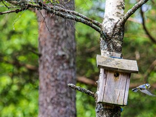 Ferienhaus Lyngdal  28