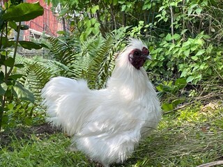 Ferienhaus Rejmyre  23