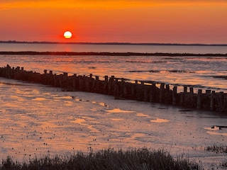 Ferienhaus Kongsmark  40