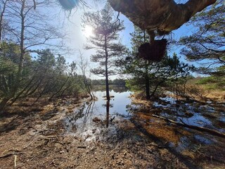 Maison de vacances Kongsmark  28