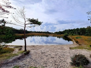 Ferienhaus Kongsmark  27