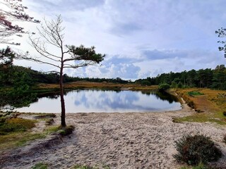 Holiday house Kongsmark  51