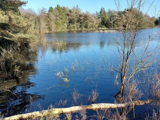 Ferienhaus Kongsmark  49