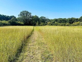 Vakantiehuis Borgholm  19