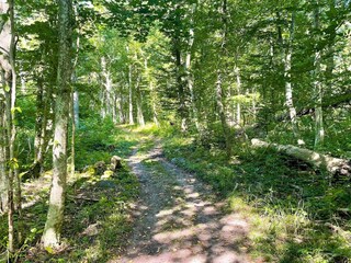 Vakantiehuis Borgholm  18