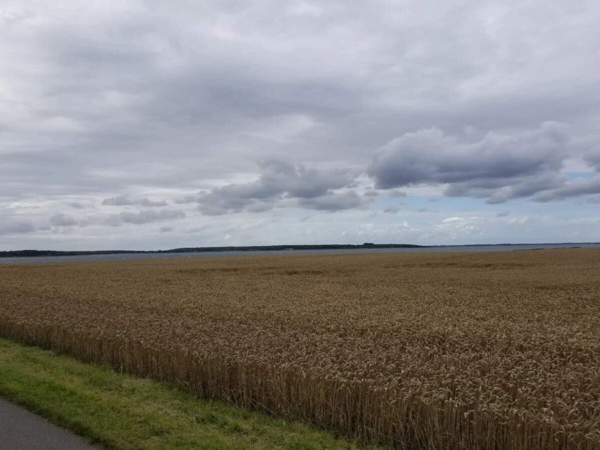 Ferienhaus Marielyst  8