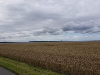 Vakantiehuis Marielyst  14