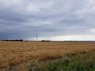 Casa per le vacanze Marielyst  21