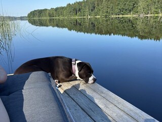 Holiday house Boda  17