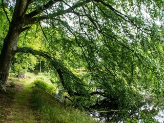 Vakantiehuis Ørding  27