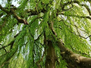 Casa per le vacanze Ørding  26