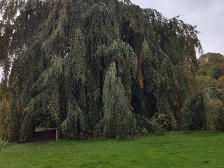 Ferienhaus Ørding  10