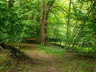 Ferienhaus Ørding  16