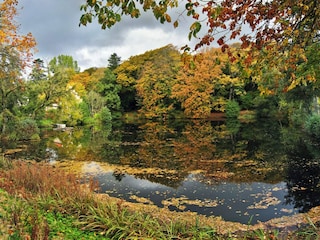 Ferienhaus Ørding  22