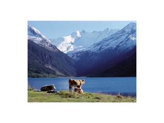 Appartamento per vacanze Neukirchen am Großvenediger Documento 20