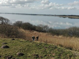 Casa per le vacanze Lynderup  26