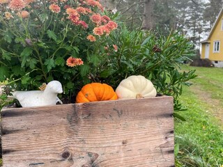 Vakantiehuis Kalmar Buitenaudio-opname 6