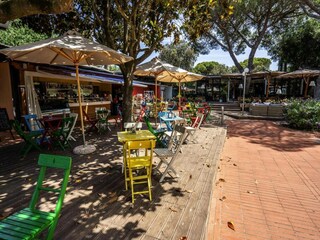 Holiday park San Vincenzo Environment 26