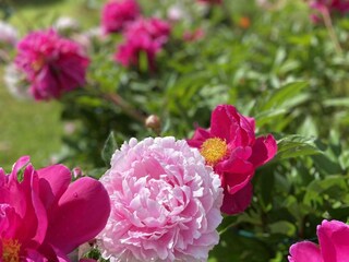 Vakantiehuis Tösse Buitenaudio-opname 16