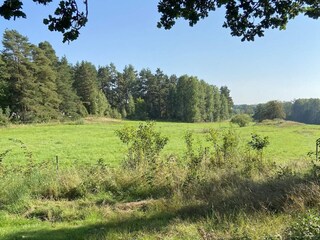 Ferienhaus Tösse Außenaufnahme 14