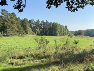 Ferienhaus Tösse Außenaufnahme 12