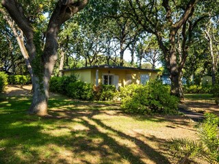 Vakantiepark San Vincenzo Buitenaudio-opname 7