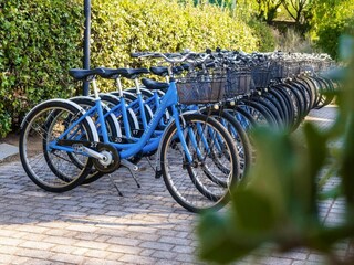 Vakantiepark San Vincenzo  21