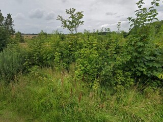 Casa de vacaciones Ansager  7