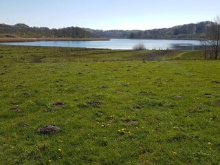 Maison de vacances Sønderballe  17