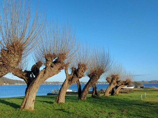 Vakantiehuis Sønderballe  8