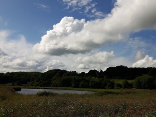 Ferienhaus Sønderballe  12