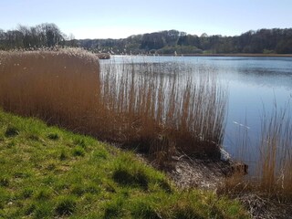 Vakantiehuis Sønderballe  14
