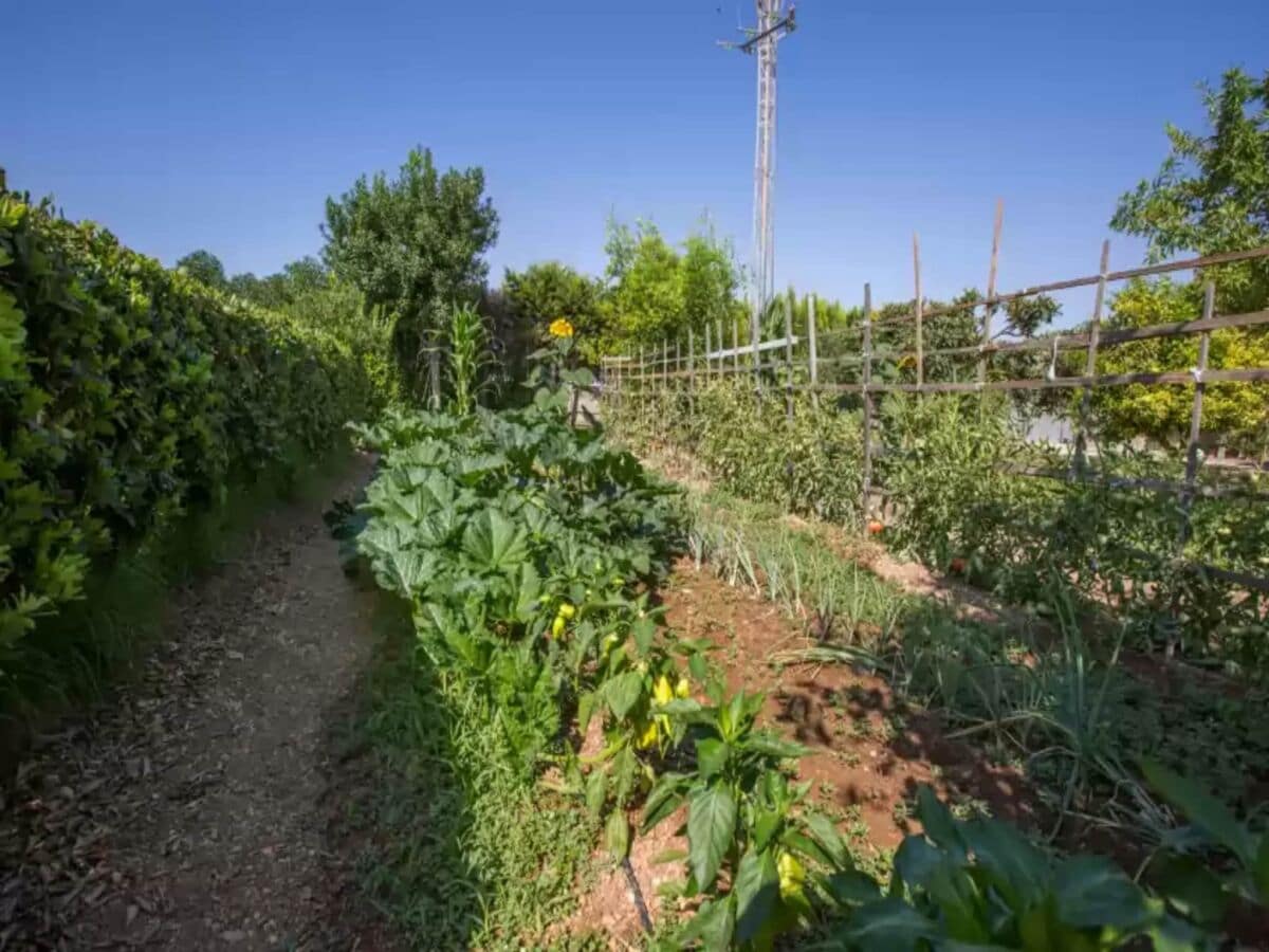 Villa Manacor Enregistrement extérieur 1