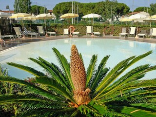 Parc de vacances Vada Enregistrement extérieur 4