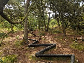 Vakantiehuis Kongsmark  39