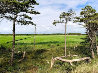 Ferienhaus Kongsmark  29