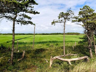 Holiday house Kongsmark  38