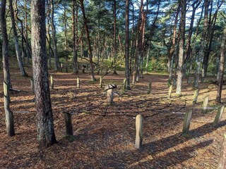 Holiday house Kongsmark  32