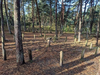 Vakantiehuis Kongsmark  30